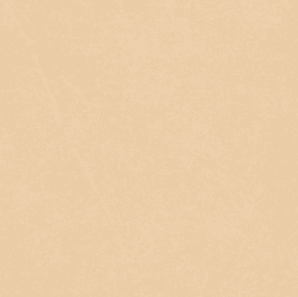 Reycera – Basalt Floor Tiles 400x400