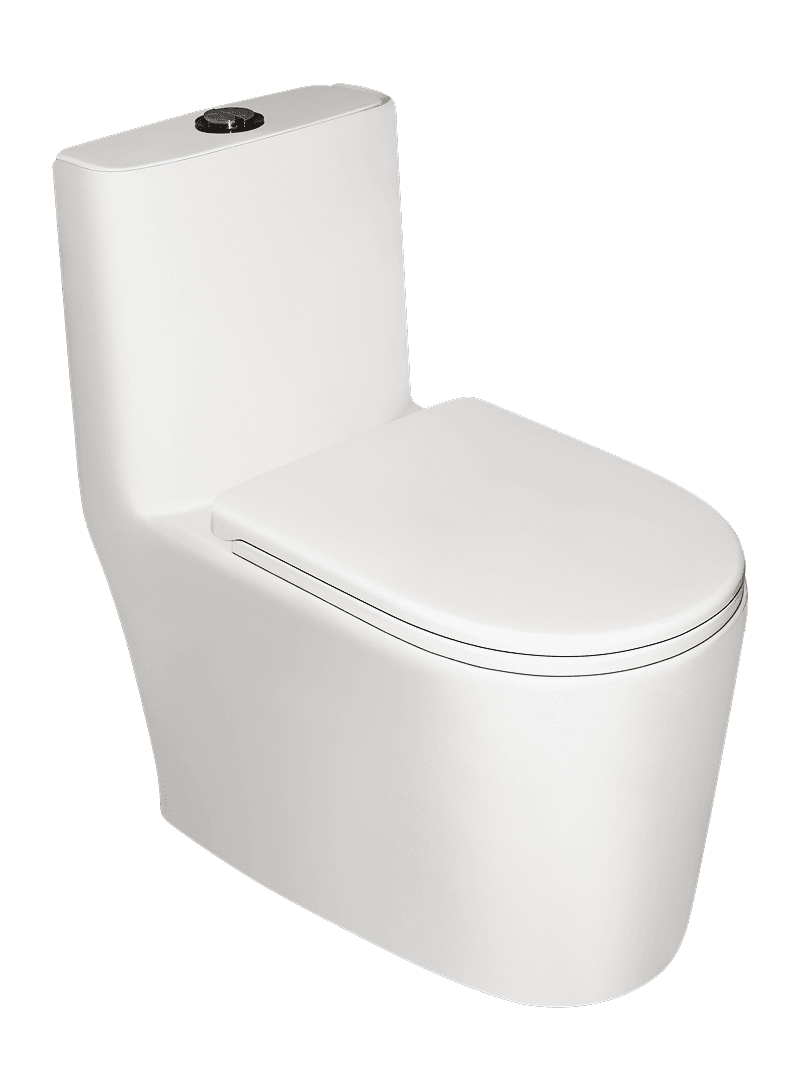 Eddy 534 – One Piece Water Closet (EWC)