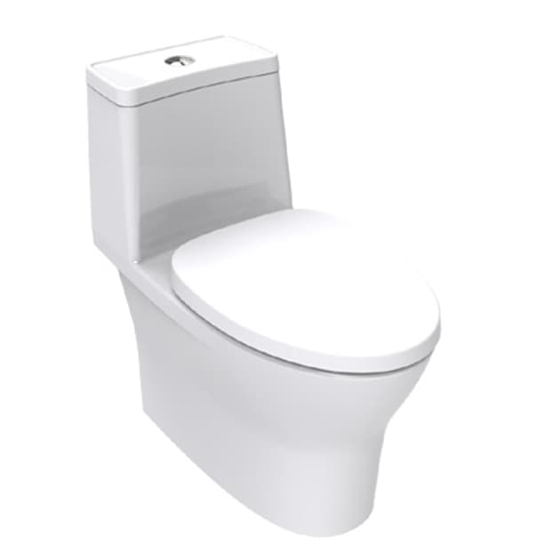 Flexio One-piece Toilet C2530300-1MA21