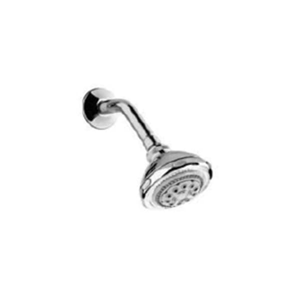 Idyll Wall Mount Shower Head with Arm