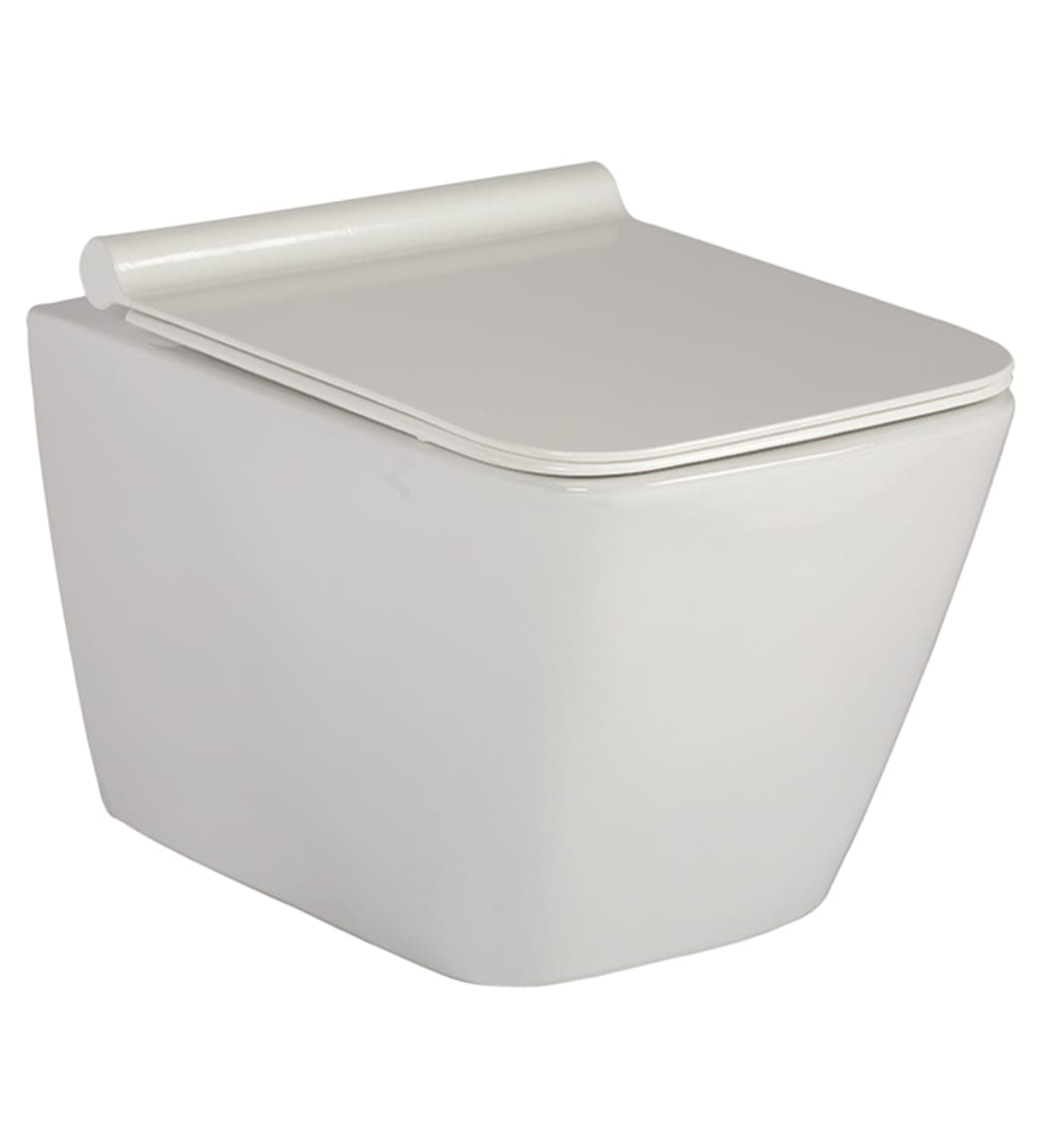 Parryware LUCO Rimless Wall Hung Toilet (C022U1C)