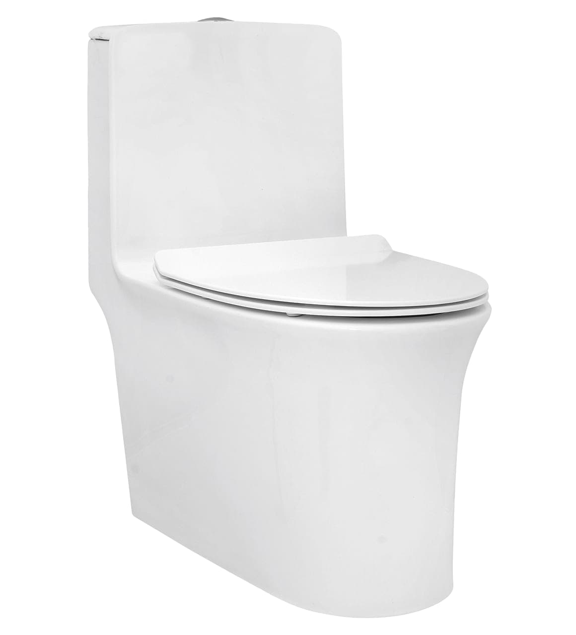 Parryware AQUILINE Rimless Single Piece WC (C890246)