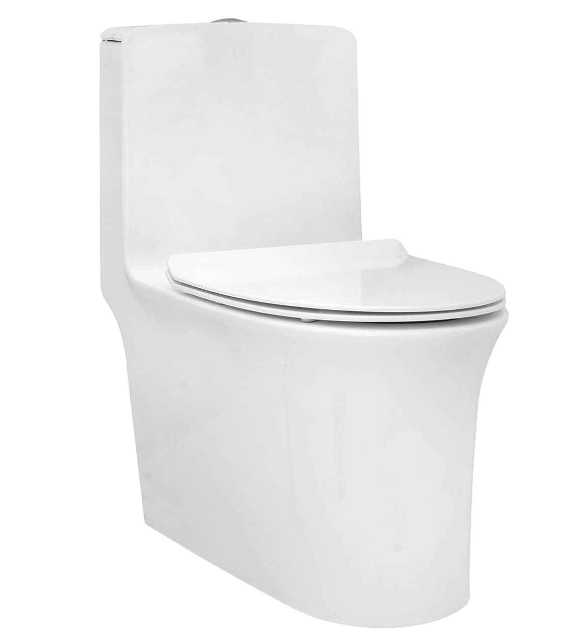 Parryware AQUILINE Rimless Single Piece WC - 290mm (C890146)